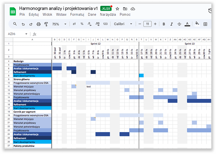 Work schedule showing task timeline with Gantt chart for team coordination